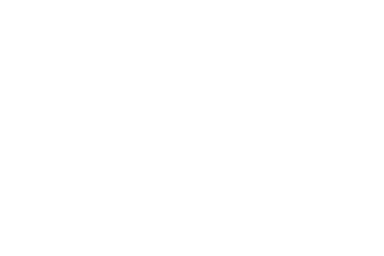 Studio Lazzarini